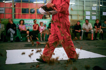 Festival Emerging Artists, Kunstfabrik am Flutgraben, Berlin, 2009, Photographer Arielle Bier